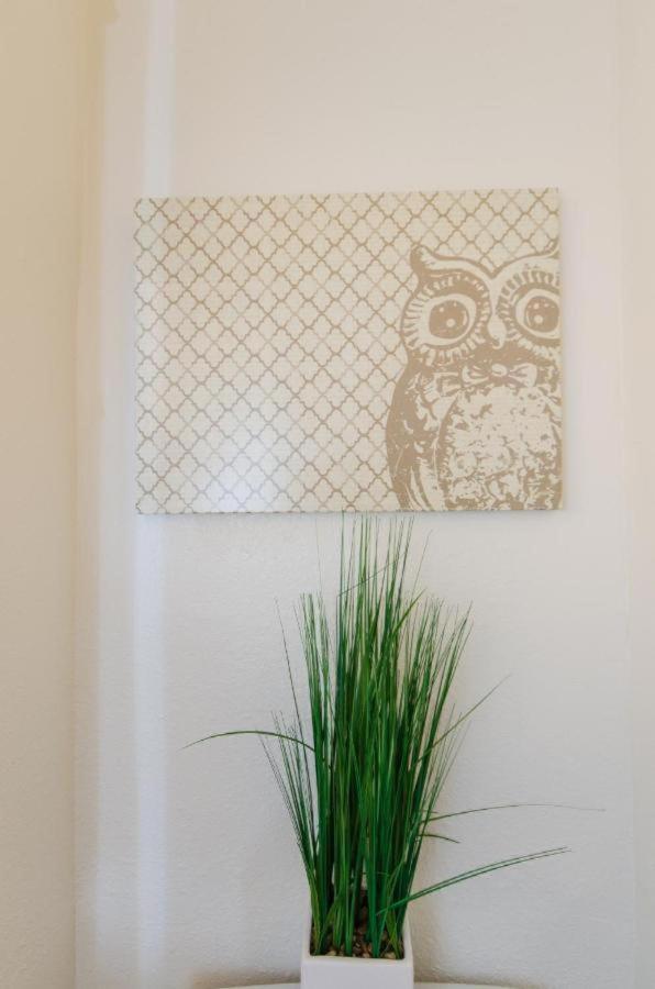 Snug Studio Apartment In The Heart Of Hollywood Los Angeles Eksteriør bilde